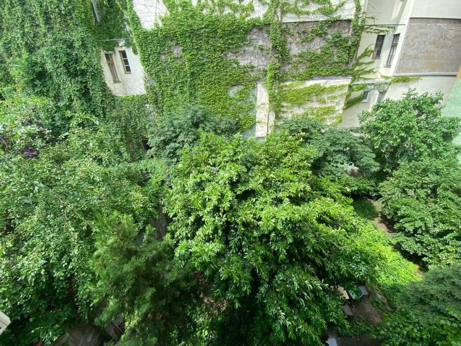 Lejlighed Raday Street, Spacious, Modern